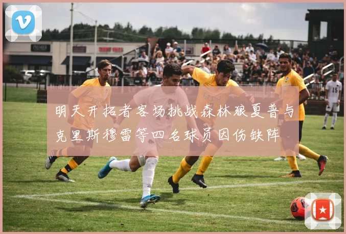 明天开拓者客场挑战森林狼夏普与克里斯穆雷等四名球员因伤缺阵