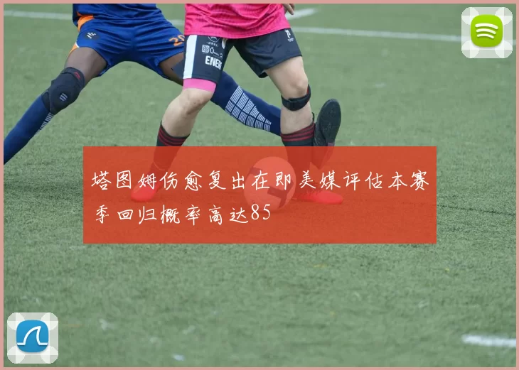 塔图姆伤愈复出在即美媒评估本赛季回归概率高达85