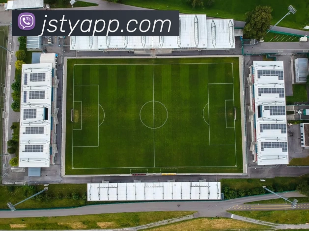 极速体育APP平台生态图